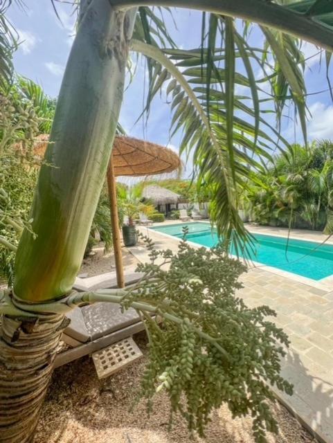 Puur Bonaire Boetiekhotel Belnem Eksteriør bilde